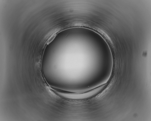 X0000090950801200708161755