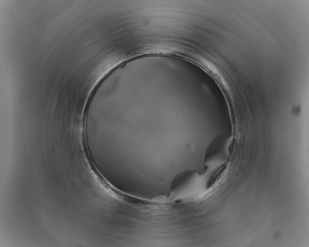 X0000090950802200708161755