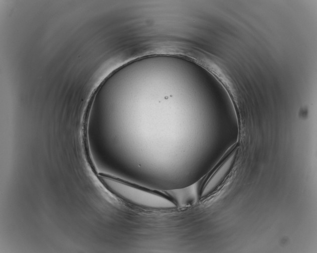 X0000090950803200708161755