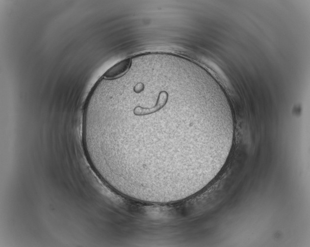 X0000090950804200708161755