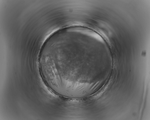 X0000090950806200708161755