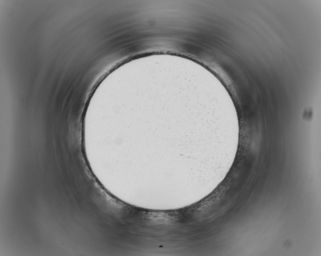 X0000090950807200708161755