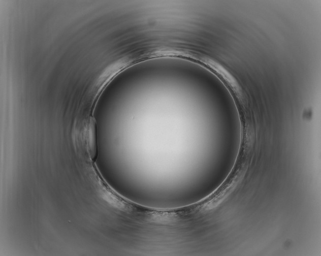 X0000090950809200708161755