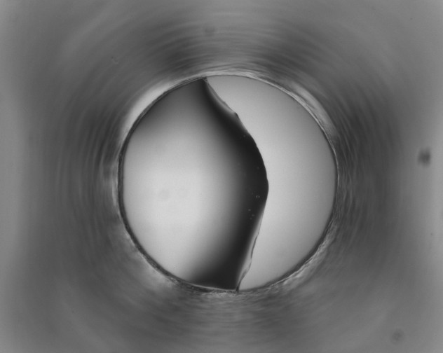 X0000090950812200708161754
