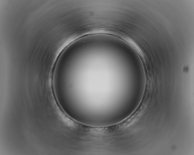X0000090950813200708161754