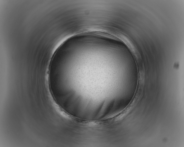 X0000090950814200708161754
