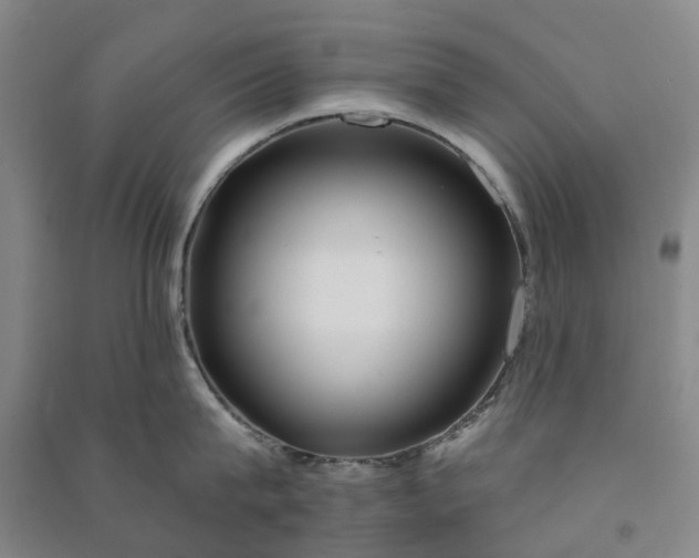 X0000090950815200708161754