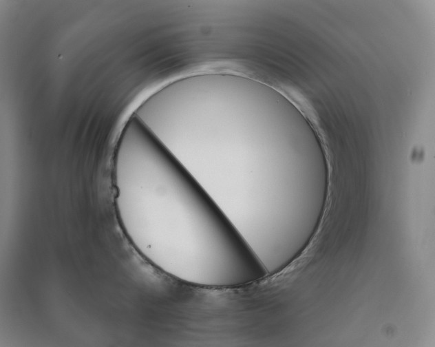 X0000090950816200708161754