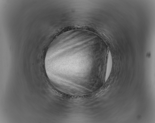 X0000090950817200708161754