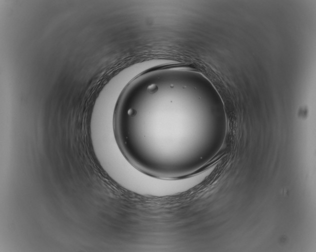 X0000090950818200708161754