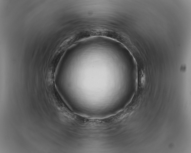 X0000090950819200708161754