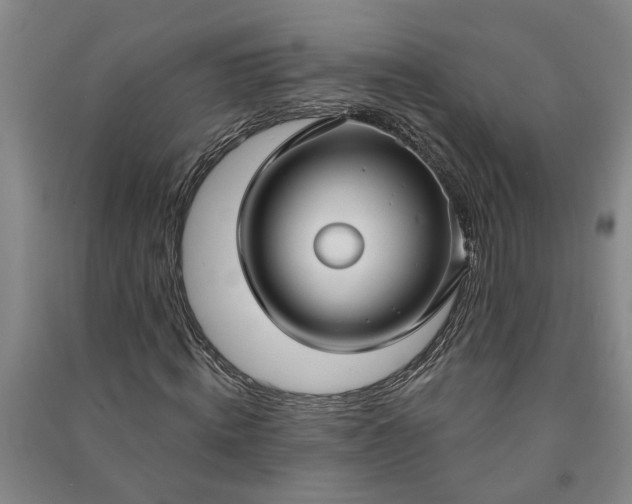 X0000090950820200708161754
