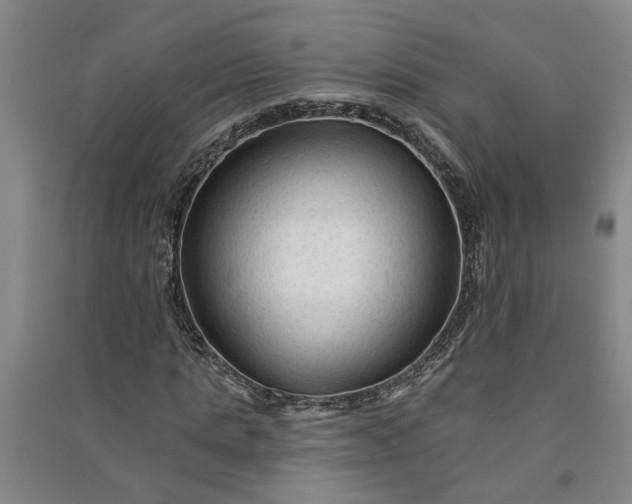 X0000090950821200708161754