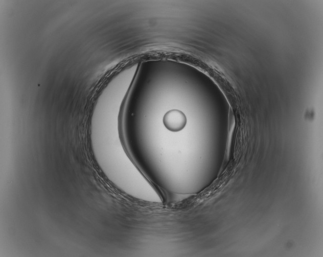X0000090950822200708161754