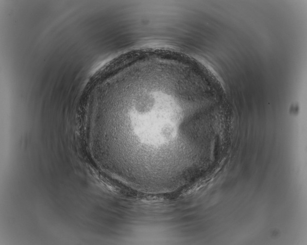 X0000090950823200708161754