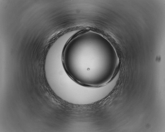 X0000090950824200708161754