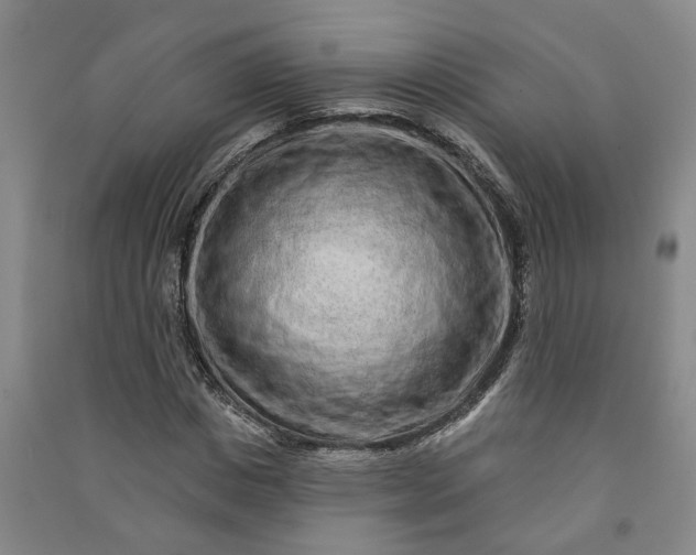 X0000090950825200708161754
