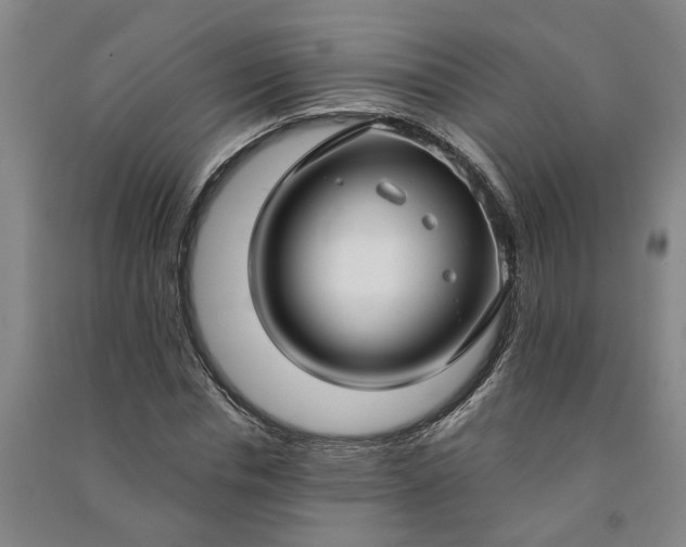 X0000090950826200708161754