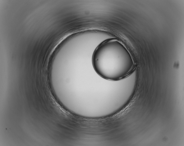 X0000090950828200708161754