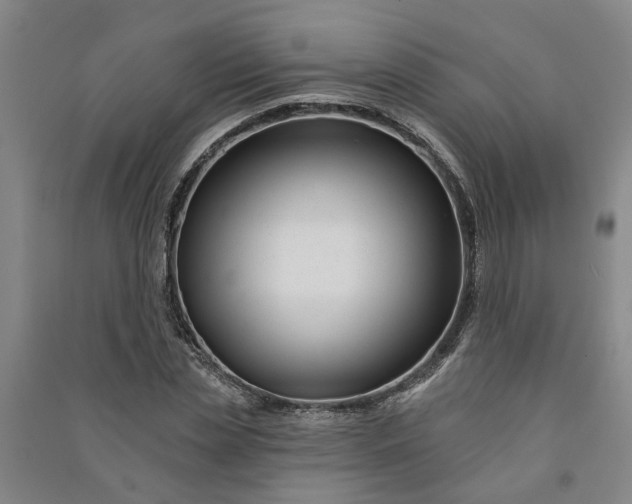 X0000090950829200708161754