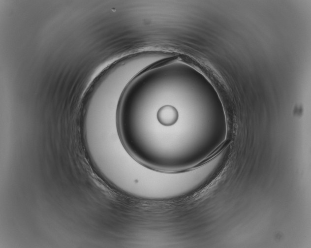 X0000090950830200708161754