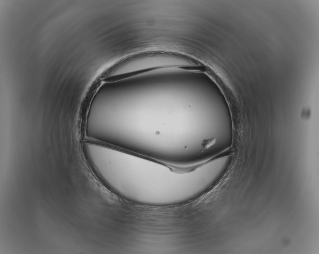 X0000090950832200708161754