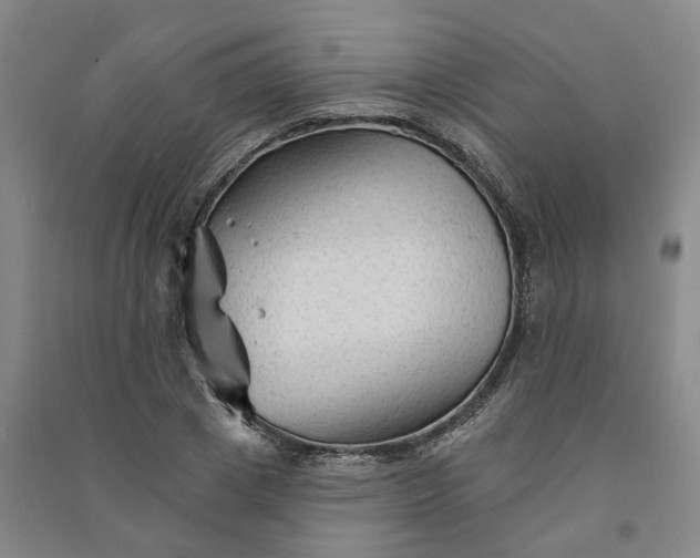 X0000090950833200708161754