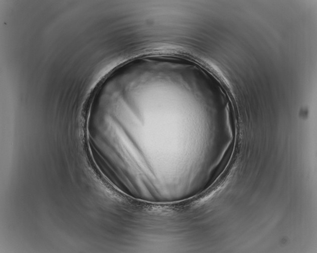 X0000090950835200708161754