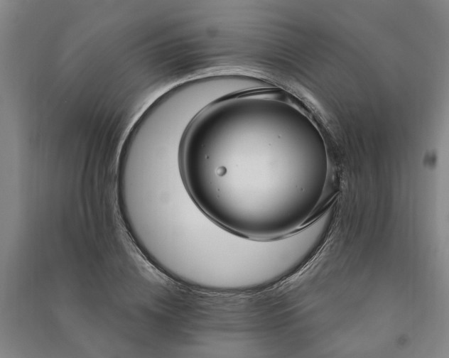 X0000090950836200708161754