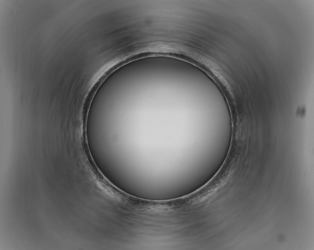 X0000090950837200708161754