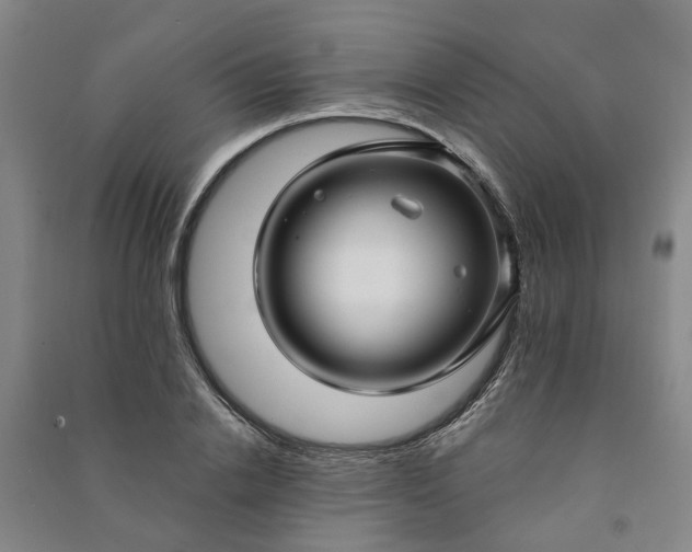 X0000090950838200708161754