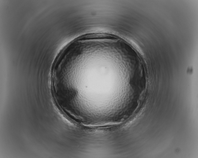 X0000090950839200708161754