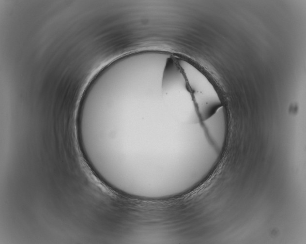 X0000090950840200708161754
