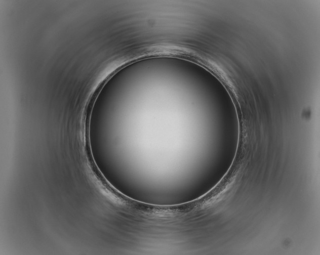 X0000090950843200708161754