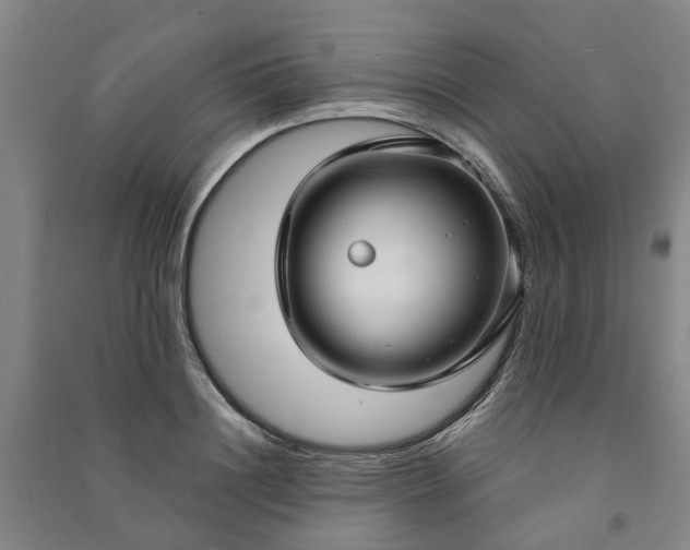 X0000090950844200708161754