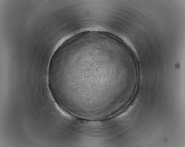X0000090950845200708161754