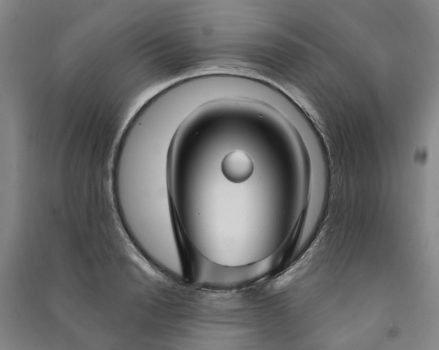 X0000090950846200708161754