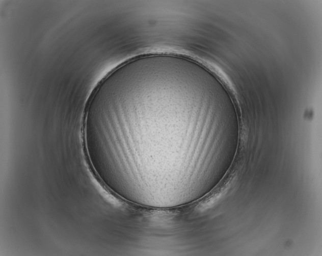 X0000090950847200708161754