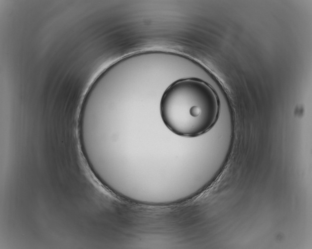 X0000090950848200708161754