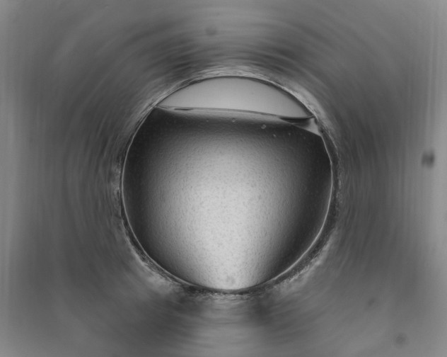 X0000090950849200708161754