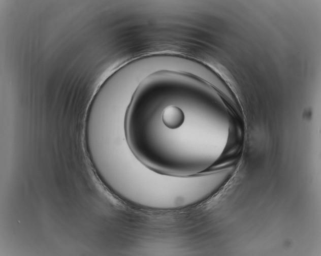 X0000090950850200708161754