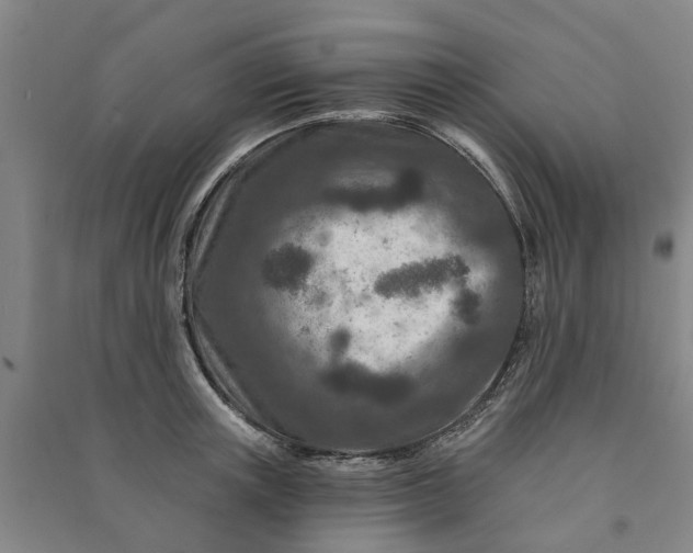X0000090950851200708161754
