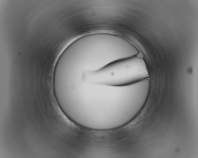 X0000090950852200708161754