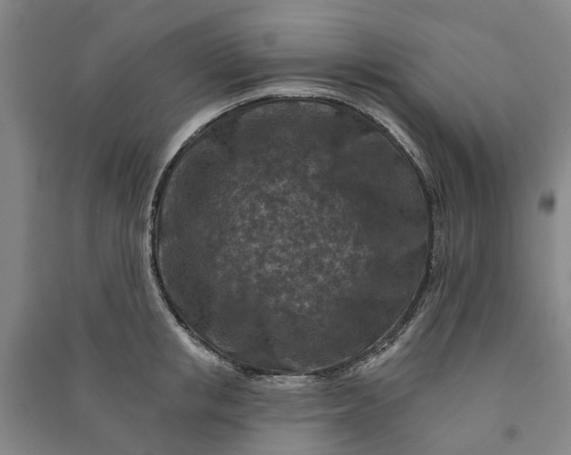 X0000090950853200708161754