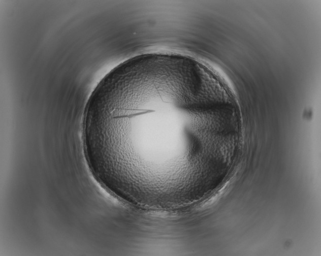 X0000090950855200708161754