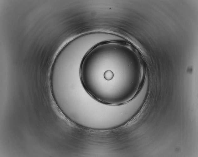 X0000090950856200708161754