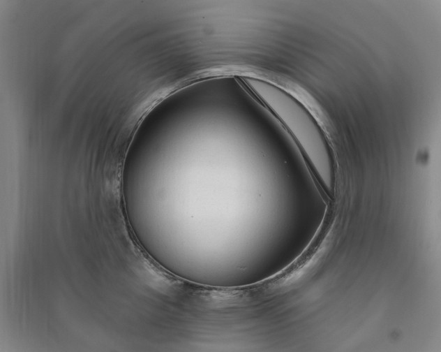 X0000090950857200708161754