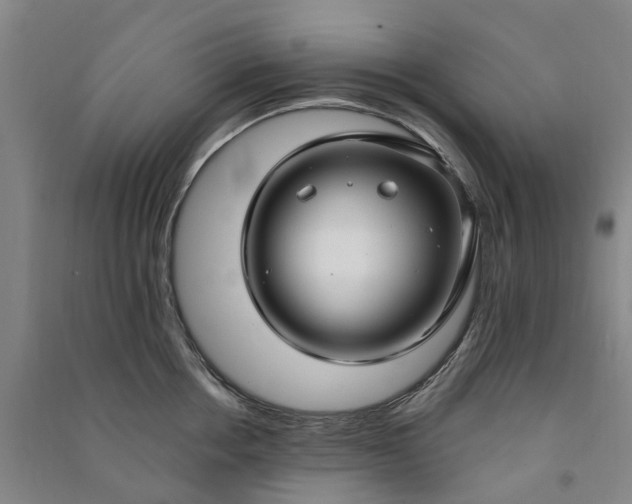 X0000090950858200708161754