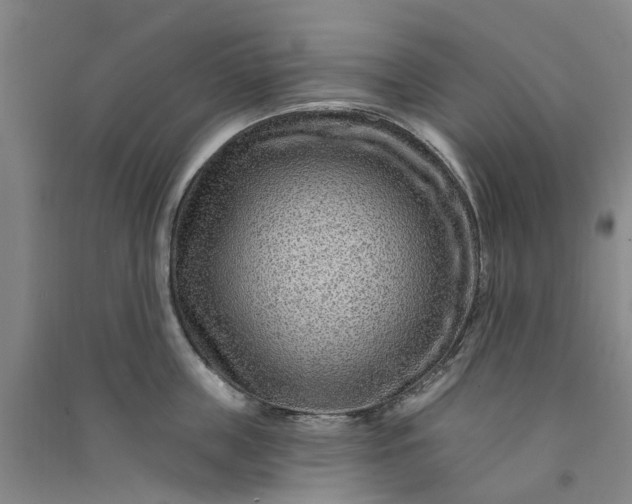 X0000090950859200708161754