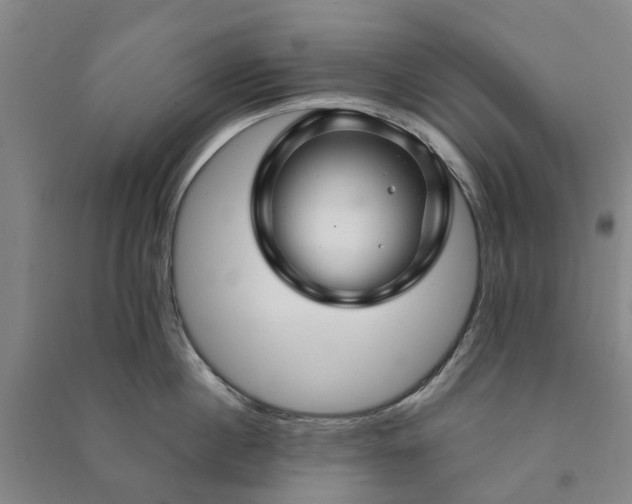 X0000090950860200708161754